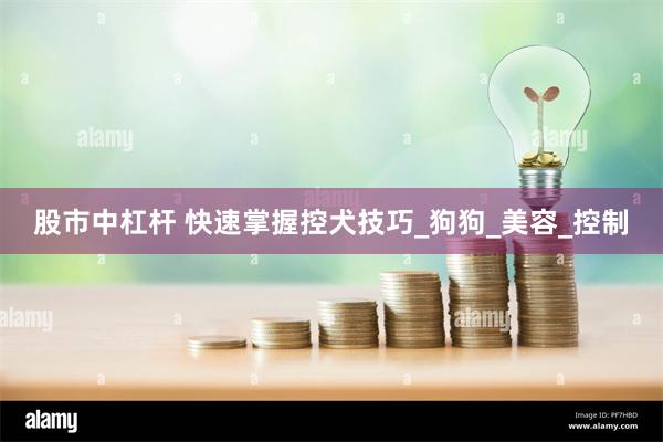 股市中杠杆 快速掌握控犬技巧_狗狗_美容_控制