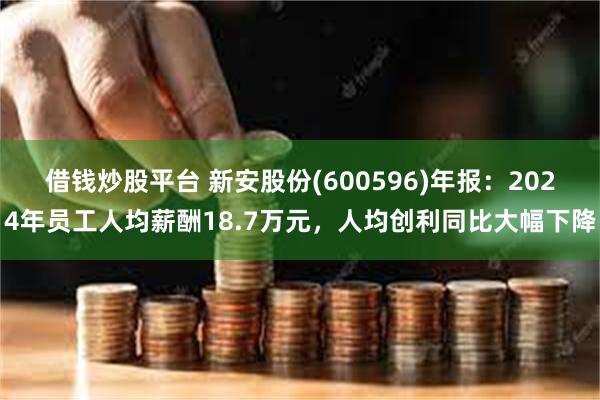 借钱炒股平台 新安股份(600596)年报：2024年员工人均薪酬18.7万元，人均创利同比大幅下降