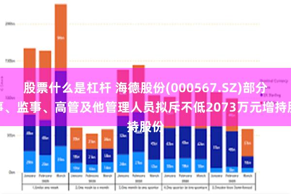 股票什么是杠杆 海德股份(000567.SZ)部分董事、监事、高管及他管理人员拟斥不低2073万元增持股份
