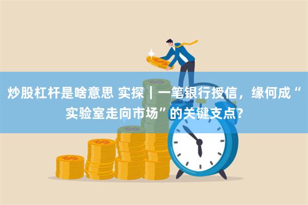 炒股杠杆是啥意思 实探｜一笔银行授信，缘何成“实验室走向市场”的关键支点？