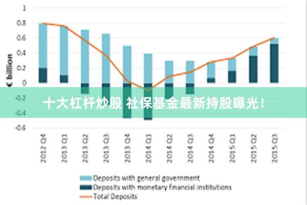十大杠杆炒股 社保基金最新持股曝光！