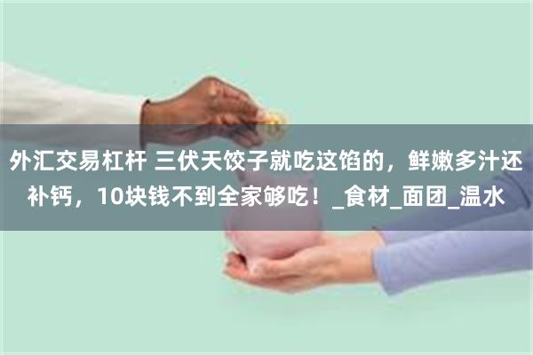 外汇交易杠杆 三伏天饺子就吃这馅的，鲜嫩多汁还补钙，10块钱不到全家够吃！_食材_面团_温水