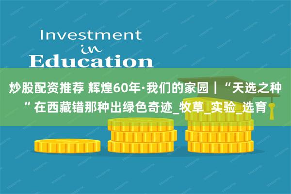 炒股配资推荐 辉煌60年·我们的家园｜“天选之种”在西藏错那种出绿色奇迹_牧草_实验_选育
