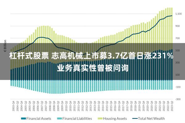 杠杆式股票 志高机械上市募3.7亿首日涨231% 业务真实性曾被问询